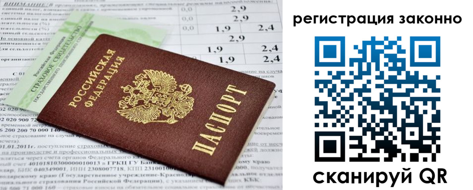прописка поиск в Брянской области